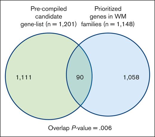 Overlap between a precompiled list of genes related to WM biology. The list of segregating prioritized genes in families with WM.
