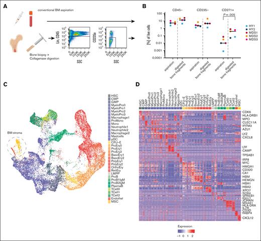 Single-cell landscape of primary BM from patients with MDS. (A) Schema of the experimental workflow for primary human cells: liquid BM aspirates and BM trephines derived from diagnostic BM punctures and hip replacement surgeries were digested or sorted for SYTOX Blue-negative Calcein AM-positive lin–CD45–CD235a– cells and subjected to 10x single-cell RNA sequencing. (B) Flow cytometric quantification of the proportion of CD45–, CD235a–, and CD45–CD235a–CD271+ populations for n = 5 paired samples of BM aspirations and digested trephines; paired, 2-sided t test. (C) UMAP plot of 24 371 high-quality primary cells comprising n = 35 color-coded distinct cell populations. (D) Heat map of top 10 marker genes from 100 randomly sampled cells per population; see also supplemental Table 6 and selected genes highlighted. Figure 2A created with BioRender.com.