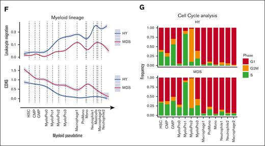 Differential abundance and gene expression in primary MDS cells. (A) Primary cells in UMAP representation overlaid with density plot for differential abundance in MDS vs HY cohort (see also supplemental Figures 5A and 6). (B) Barplot of frequency per cell population for n = 11 580 HY and 12 791 MDS cells. (C) Density histogram of pseudotime estimate for n = 2 selected cell populations separated by sample origin. Dashed lines indicate the median per cell population in condition, 2-sided t test adjusted using Benjamini-Hochberg procedure. (D) Gene expression along erythroid pseudotime differentiation for subset of n = 9168 cells designated to erythropoiesis of averaged gene expression using (AddModuleScore) for IL1 target genes according to gene ontology (GO:0070498). Gray shades represent standard error. (E) Progeny analysis for pathway activation in erythropoietic cells. (F) Gene expression along myeloid pseudotime differentiation for subset of n = 9064 cells designated to myelopoiesis, an averaged gene expression using for leucocyte migration–related genes according Kyoto Encyclopedia of Genes and Genomes (KEGG) pathway (hsa04670, top), and cyclin dependent kinase 6, (bottom). (G) Cell cycle analysis derived from transcriptomic data for myeloid progenitor cells groups per cell population. CMP, common myleoid progenitor; GMP, granulocyte/monocyte progenitor.