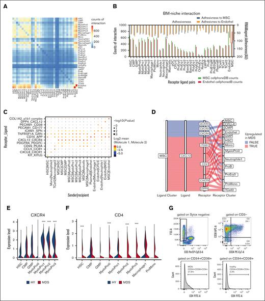 Interactome in primary MDS BM. (A) Heat map of number of pairwise expressed genes for interacting receptor-ligand pairs as quantified by CellPhoneDB. (B) Interaction of hematopoietic cells with MSCs and ECs quantified by number of expressed receptor-ligand pairs (bottom scale) and adhesiveness (top scale) in arbitrary units (AU) derived from RNAMagnet. (C) Exemplary quantitative expression of key receptor-ligand pairs for stromal-hematopoietic interaction for selected cell pairs. (D) Sankey plot for CXCL12 signaling from MSCs with various receptors to hematopoietic cells. Color-coded whether a specific ligand-receptor axis between cell populations is differentially active in MDS over HY. (E-F) Quantitative gene expression of CXCR4 and CD4 in myeloid progenitor cells in HY and MDS comparison, 2-sided Wilcox test derived from FindMarker function. (G) Quantification of CD4 expression in myeloid progenitor cells as gated by CD34+CD38+.