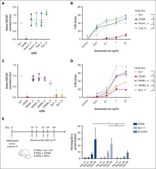 Validation of CRISPRi screen hits as functionally affecting daratumumab efficacy. (A) Knockdown of HEXIM1 and TLE3 with 2 independent sgRNAs per gene (AMO1 myeloma cells, n = 3) followed by flow cytometry shows significant surface CD38 increase with TLE3_i2 sgRNA and trend toward increased CD38 with HEXIM1_i1 sgRNA. (B) Results from ADCC assays with AMO1 cells stably expressing the noted sgRNAs and incubated with the indicated concentration of daratumumab or isotype control antibody (1:20 myeloma:NK ratio; 20 hours; n = 2). The percent lysis by ADCC was calculated using the following formula: % lysis = (signal in presence of daratumumab – signal in presence of IgG1 control antibody) ×100/signal in presence of IgG1 control antibody. At 10 μM daratumumab, both HEXIM1 and TLE3 knockdown led to significant increase in ADCC. (C) Similar to panel A, sgRNA knockdown of NFKB1, NFKB2, and SPI1 with fold-change in CD38 by flow cytometry (RPMI-8226 cells, n = 3). (D) Similar to panel B, knockdown with the most effective sgRNA for each gene show significant decreases in NK-cell ADCC at 10 μM daratumumab in the RMPI-8266 cells (n = 3). (E) In vivo validation of SPI1 knockdown driving daratumumab resistance. NOD scid gamma mice were IV implanted with CRISPRi RPMI-8226 cells stably expressing both luciferase and noted sgRNA, then treated with 200 μg daratumumab on the noted schedule. Bioluminescence imaging measurement of tumor burden demonstrates significantly increased fold-change in tumor burden (normalized to predaratumumab intensity) with either CD38 or SPI1 knockdown compared with scramble sgRNA. (A-E) ∗P < .05; ∗∗P < .01, by 2-tailed t test. conc, concentration; I.P., intraperitoneal; MFI, mean fluorescence intensity; NSG, NOD scid gamma; Scri, nontargeting control sgRNA.