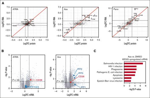 ATRA drives CD38 upregulation with limited additional cellular impact, whereas Aza leads to a broad interferon-mediated response. (A) Integrated mRNA-seq (n = 2 per drug treatment) and cell surface proteomics (n = 2 per drug treatment) across RPMI-8226 treatment with 10 nM ATRA, 2 μM Aza, and 10 nM panobinostat (Pano). All plots are in comparison with control replicates treated with 0.1% DMSO. Doses chosen are based on those previously published to lead to CD38 upregulation for each agent. Data points shown are for proteins and genes corresponding to Uniprot-annotated membrane-spanning proteins. Log2 fold-change cutoffs shown at |0.5| for ATRA and |2.0| for Aza and Pano to increase clarity of plots given many fewer changed genes with ATRA treatment. (B) RNA-seq for same samples with ATRA or Aza treatment vs DMSO but here showing all mapped genes, not just those annotated as membrane-spanning. Significance cutoff at P value <.05 with log2 fold-change cutoff set at |0.8| to illustrate prominent differences above this level in transcriptome alteration after either ATRA or Aza treatment. (C) KEGG analysis of genes from RNA-seq data set meeting cutoff criteria of P value <.05 and log2 fold-change >0.8 after Aza treatment. DMSO, dimethyl sulfoxide.