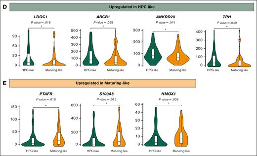 Underlying mutations and gene deregulation in patients with AML defined by the phenotypic stage of blast arrest. (A) Percentage of patients with HPC- and maturing-like AML carrying somatic mutations in each gene. (B) Top 10 more frequent mutated genes among HPC- and maturing-like AML cohorts. (C) Volcano plot showing differentially expressed genes between HPC- vs maturing-like AML subtypes. (D) Violin plots showing upregulated genes in patients with HPC-like AML. Outliers were removed for improved visualization. (E) Violin plots showing upregulated genes in patients with maturing-like AML. Outliers were removed for improved visualization.
