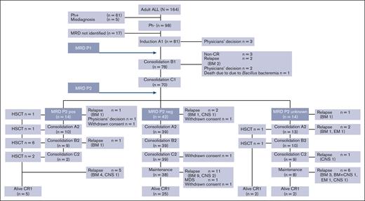 Flow description of the results of the treatment program (ALL MRD2014 study). A total of 164 adult patients with ALL were enrolled in this study between January 2014 and December 2019. Of the 164 patients enrolled, 61 were excluded from the study because of Ph positivity and 5 due to misdiagnosis. The remaining 98 patients were Ph–; among them, MRD could be evaluated in 81 patients. We used a modified CALGB 19802 treatment protocol that comprised 6 courses of chemotherapy administered in the order of A-B-C-A-B-C regimens, followed by a maintenance phase. MRD status was assessed in our study at 2 critical points: first, after the induction therapy (first course A1), denoted as the EOI; and second, after the second consolidation therapy (first course C), referred to as the EOC. EOC MRD-positive patients were considered to be indicated for allogeneic hematopoietic stem cell transplantation (HSCT) as soon as possible. BM, bone marrow; CNS, central nervous system; EM, extramedullary.