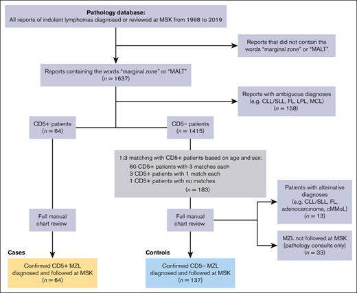 CONSORT diagram of inclusion and exclusion criteria for patients with CD5+ MZL (n = 64) and CD5– MZL matched controls (n = 137). cMMoL, chronic myelomonocytic leukemia.