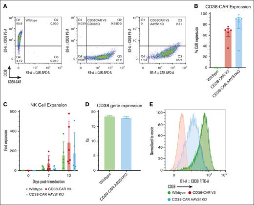 AAVS1KO/CD38-CAR NK cells avoid fratricide. (A) CD38 (PE) and CAR (APC) expression levels measured by flow cytometry for the CD38-CAR inserted into different loci. All CAR NK cells were generated with matched donors. (B) Fold expansion of WT and CD38-CAR NK cells over 12 days (n = 6; mean ± SD). P values were calculated using a 2-way ANOVA; ∗P < .05; ∗∗P < .01; ∗∗∗P = .001; ∗∗∗∗P < .0001. (C) Relative percentage of CD38-CAR expression (n = 6; mean ± SD). (D) Reverse-transcription qPCR was performed using CD38 primer probes to detect transcription of the CD38 gene in the WT and AAVS1KO/CD38-CAR NK cells. (E) CD38 expression measured by flow cytometry using a polyclonal anti-CD38 antibody.