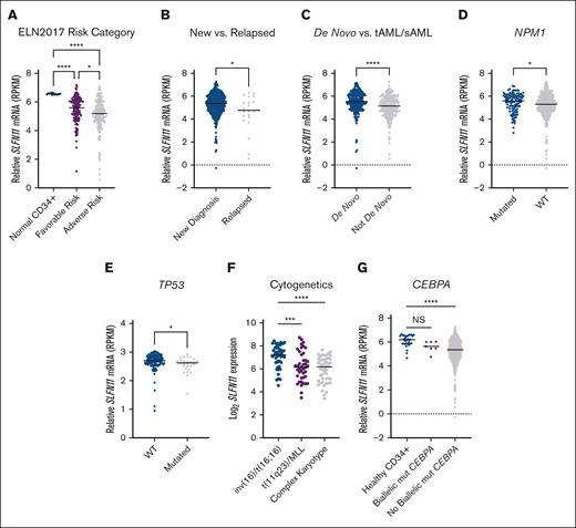 High SLFN11 expression is associated with better prognostic groups in AML. (A) Relative SLFN11 messenger RNA expression in normal CD34+ cells isolated from healthy donors (n = 12) and in patients with favorable-risk (n = 117) or adverse risk (n = 164) AML based on the ELN 2017 risk criteria. Data were extracted from the Beat AML data set, available through Vizome. (B-D) Relative SLFN11 mRNA expression in patients with (B) newly diagnosed (n = 428) and relapsed (n = 23) AML, (C) de novo (n = 223) and therapy-related AML (tAML) or secondary AML (sAML) (n = 228), and (D) NPM1-mutated (mut) (n = 108) or NPM1 wild-type (WT; n = 340) AML. Data were extracted from the Beat AML data set, and accessed through Vizome. (E) Relative SLFN11 mRNA expression in TP53-WT (n = 117) and TP53-mutated (n = 27) AML. Data were extracted from the OSHU AML cohort using the cBioPortal. (F) Log2 of SLFN11 mRNA expression in patients with AML with inv(16)/t(16;16) (n = 47), t(11q23)/mixed lineage leukemia (MLL) (n = 42), or a complex karyotype (n = 49). Data were extracted from the TCGA AML data set available through BloodSpot. (G) Relative SLFN11 mRNA expression in normal CD34+ cells (n = 32) and patients with (n = 7) or without (n = 444) biallelic CEBPA mutations. Data were extracted from the Beat AML data set available through Vizome. (A,F,G) Statistical analysis was performed using the Kruskal-Wallis test followed by Dunn multiple comparison adjustment. (B-E) Statistical analysis was performed using the 2-tailed Mann-Whitney test. (A-G) The median is represented by the black line for each AML subgroup. ∗P < .05; ∗∗∗P < .001; ∗∗∗∗P < .0001. NS, not significant; RPKM, reads per kilobase million.
