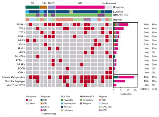 Molecular and cytogenetic characteristics of 1L HMA/VEN patients at the start of IC. Mut, mutated; NR, no response; Unkwn, unknown.