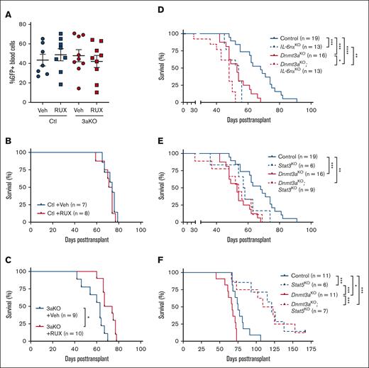 JAK/STAT signaling in development of Dnmt3a-mutant T-ALL. (A) Engraftment levels of NICD-expressing Control (Ctl) or Dnmt3aKO (3aKO) T-ALL cells in recipient mice before treatment with RUX or vehicle (veh) chow. (B) Kaplan-Meier plot of mice transplanted with control NICD-expressing cells treated with RUX or vehicle (veh) chow. (C) Kaplan-Meier plot of mice transplanted with Dnmt3aKO NICD-expressing cells treated with RUX or vehicle (veh) chow. (D) Kaplan-Meier plot of mice transplanted with NICD-expressing cells of indicated genotypes with and without IL-6rα. (E) Kaplan-Meier plot of mice transplanted with NICD-expressing cells of indicated genotypes with and without Stat3. (F) Kaplan-Meier plot of mice transplanted with NICD-expressing cells of indicated genotypes with and without Stat5.
