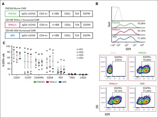 CAR T-cell design and characterization. (A) Diagram of lentiviral cassette design for CD19-targeted CARs including CD19 scFv (FMC63, VH4vκ1, and 4D5), immunoglobulin G4 hinge, and CH3 connected by a 10-amino-acid glycine and serine (GS) linker (ch2Δ), CD4 transmembrane domain, cytoplasmic 4-1BB costimulatory domain, and cytoplasmic CD3ζ stimulatory domain. A non-signaling truncated EGFR is separated from the CAR by a T2A ribosome skip sequence for tracking transduction efficiency. (B) CD19 CARs were expressed in the healthy donor (HD) Tn/mem cells by lentiviral transduction. CAR expression is measured as % EGFR+. Representative histograms (top) and dot plots (bottom) are shown (n = 3). (C) Murine and humanized CAR T cells were characterized by analyzing the expressions of CD27, CCR7, CD45RA, CD28, programmed cell death protein 1 (PD1), TIM3, and LAG3 (n = 4). Data are shown as mean ± standard error of the mean (SEM).
