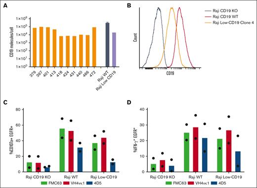 Humanized VH4vκ1 CAR is effective against the Raji lymphoma tumor line expressing low CD19 antigen in vitro. (A) Variability of CD19 antigen expression is analyzed on the surface of ALL patient peripheral blood mononuclear cells (PBMCs; n = 10) as well as Raji WT and Raji CD19-low cell lines. (B) Histogram showing CD19 expression on Raji-WT, Raji CD19-KO, and Raji CD19-low clone. Raji CD19-low cell line was used for the following experiments. Tn/mem expressing the specified CAR constructs were analyzed for their ability to (C) degranulate and (D) produce IFN-γ in response to Raji CD19-KO, Raji WT, and Raji CD19-low by flow cytometry. Data are shown as mean of two experiments.