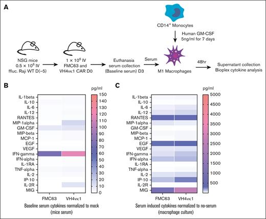Cytokine analysis of murine FMC63 and humanized VH4vκ1 CAR T cells after macrophage activation. (A) Schema showing macrophage activation experiment. NSG mice were engrafted with Raji tumor followed by murine and humanized CAR treatment. Serum was collected 3 days after CAR treatment and added to GM-CSF–activated donor-matched macrophages. The supernatant was collected 48 hours later and Luminex cytokine analysis was carried out. (B) Serum collected from mice before adding to the macrophages was analyzed for baseline cytokine levels. (C) Macrophage-derived cytokines. Data are shown as mean ± SEM; n = 4 mice per group and respective macrophage conditions; P > .05.
