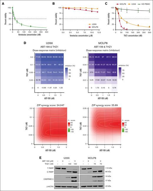 Cytotoxic effect of venetoclax (ABT 199) and THZ1 alone and in combination on MM cell lines. (A-B) MM cell lines KMS 27 (A) and U266 and MOLP8 cells (B) were treated with varying concentrations of venetoclax (0-15 μM) for 24 hours. Cell viability, expressed as a percentage of untreated control, was assessed using the CellTiter-Glo (CTG) assay on triplicate cultures. (C) U266 and MOLP8 cells and healthy PBMCs (n = 5) were treated with THZ1 (0-300 nM) for 24 hours, with cell viability assessed using the CTG assay. (D) THZ1 and venetoclax synergistically induce cell death in venetoclax-resistant MM cells. The dose-response matrix and synergy map show the percentage inhibition of U266 and MOLP8 cells after 24 hours of treatment with venetoclax alone and in combination with THZ1 at different concentrations. Cell viability was determined using the CTG assay followed by ZIP score analysis. A ZIP score >10 denotes synergistic interaction. (E) U266 and MOLP8 cells were incubated with the indicated concentrations of ABT-199 ± THZ1 for 24 hours, after which PARP and CASPASE3 cleavage was monitored by immunoblotting analysis. β-actin was assayed to ensure equivalent loading and transfer. ABT, Abbott Laboratories; HD PBMC, healthy peripheral blood mononuclear cell.