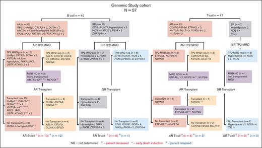 Genomic study cohort CONSORT diagram. The flow diagram shows the genomic lesions identified in patients with B-ALL (n = 40) and those with T-ALL (n = 17) comprising the genomic study cohort. Patients are grouped according to AR vs SR genomic lesions, then by MRD status at TP2 (day 79) and transplant status. Note that 1 patient with T-ALL experienced toxicity and died early in the treatment course (NUP214rD∗) and does not appear in the posttransplant section of the flow diagram. neg, negative; pos, positive.