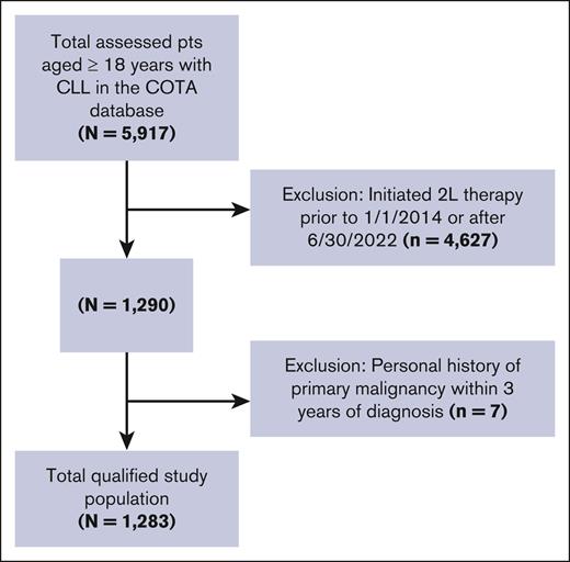 Attrition diagram. Population attrition based on inclusion/exclusion criteria.