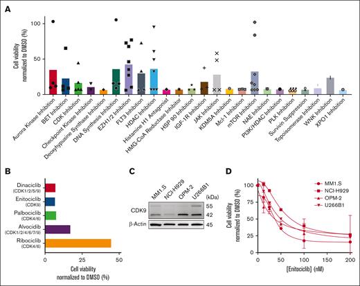 Enitociclib decreases cell viability in MM cells. (A) Cell viability of small-molecule inhibitors from the pharmaceutical pipeline library treated at 1 μM for 96 hours in OPM-2 cells. A breakdown of molecular targets with a mean cell viability inhibition of >50% are shown. (B) Cell viability values of various CDK inhibitors from the library treated at 1 μM for 96 hours in OPM-2 cells are shown. (C) Western blotting of MM cell lines MM1.S, NCI-H929, OPM-2, and U266B1. Total cell lysates were prepared and analyzed by immunoblotting to detect the level of CDK9. β-actin was used as a loading control. Molecular masses are indicated in kilodaltons (kDa). (D) Dose response curves of MM cell lines treated with increasing concentrations (12.5-200 nM) of enitociclib for 96 hours. Cell viability was measured by Alamar Blue assay. Percent cell viability was normalized to corresponding treatment with dimethyl sulfoxide (DMSO; vehicle control). Mean percentages of cell viability were calculated from 3 technical replicates and standard deviations are shown. BET, Bromodomain and extraterminal; EZH1/2, Enhancer of zeste homolog 1/2; FLT3, Fms-like tyrosine kinase 3; HDAC, Histone deacetylase; HSP, Heat shock protein; IGF-1R, Insulin-like growth factor 1 receptor; KDM5A, Lysine (K)-specific demethylase 5A; mTOR, Mammalian target of rapamycin; NAE, NEDD8-activating enzyme; WNK, With no lysine (K); XPO1, Exportin-1.