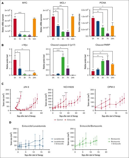 Enitociclib is effective against MM in vivo. (A-B) In vivo mechanism of action of enitociclib in mice bearing JJN-3 MM xenografts upon a single dose of 15 mg/kg enitociclib administered IV compared with 80% PEG400 vehicle. Messenger RNA transcript (A) and protein levels (B) were normalized to housekeeping genes in L32 and β-actin, respectively. (C) In vivo antitumor activity of enitociclib administered as a single agent. For JJN-3, NCI-H929, and OPM-2 MM xenografts, enitociclib was dosed 15 mg/kg IV once weekly compared with vehicle control. (D) To study combinations, enitociclib was dosed 15 mg/kg IV once weekly in combination with 50 mg/kg lenalidomide orally daily or 0.8 mg/kg bortezomib intraperitoneally twice weekly in OPM-2 MM xenografts. ∗P < .05.