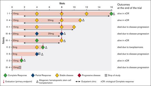 Responses and clinical course during the trial period. Swimmer plots showing the clinical course of each patient during the trial. CR: disappearance of all of symptoms of disease activity, including fever, liver dysfunction, uveitis, progressive skin lesions, and vasculitis; PR: disappearance of at least 1 of the symptoms listed above; SD: no disease progression; PD: conversion to active disease, exacerbation of active disease, or development of overt T-cell or NK-cell lymphoma; vCR: a CR with a WB EBV-DNA of <102.5 copies per μg DNA.
