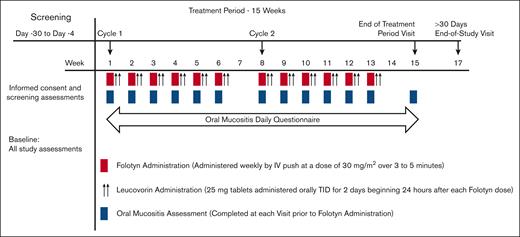 Trial schema and treatment/assessment schedule. TID, thrice daily.