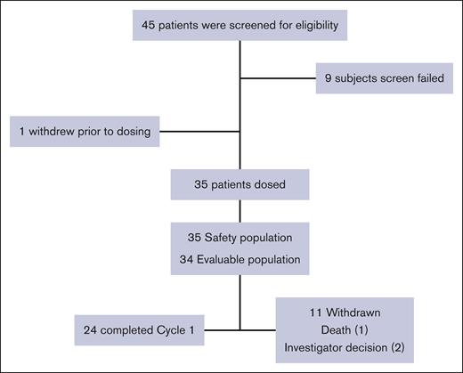 Patient disposition.