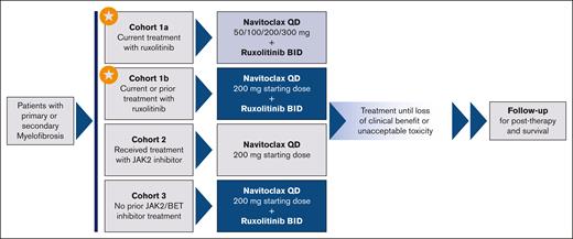 REFINE study schema. Schematic diagram shows the distinction between the 3 cohorts included in the REFINE study. Starred cohorts are included in this analysis. BET, bromodomain and extraterminal; BID, twice daily; QD, once daily.