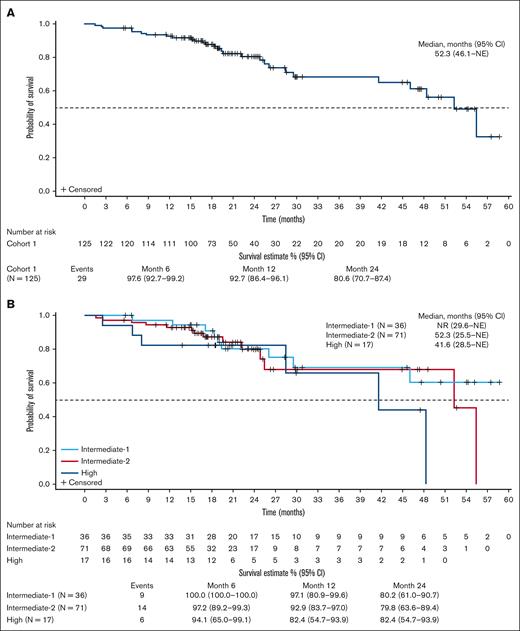 OS after treatment with navitoclax and ruxolitinib. (A) Kaplan-Meier curve of OS for pooled cohort 1; (B) Kaplan-Meier curve of OS by DIPSS risk for pooled cohort 1. NR, not reached.