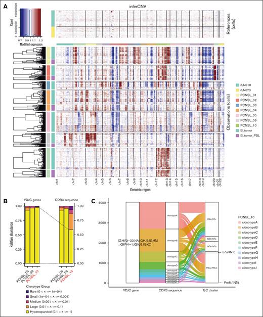 Ongoing somatic hypermutation in PCNSL and the relationship between clonotypes and GC signature subclusters. (A) Heat map showing copy number variation profiles of each sample split into PBL and non-PBL subclusters. Amplification of chromosomal regions is colored in red, whereas deletion of chromosomal regions is shown in blue. (B) Bar chart showing the abundance of clonotypes according to the expansion status of each patient. The sample of PCNSL_10 experienced ongoing somatic hypermutation. (C) Sanky diagram showing the relationship between the clonotypes based on the VDJC gene (left), clonotypes based on the CDR3 sequence (middle), and GC signature subclusters (right) in PCNSL_10. GC, germinal center; PBL, plasmablast; DZ, dark zone; INT, intermediate zone; LZ, light zone; PreM, precursor memory B-cell.