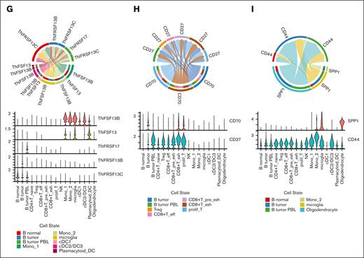 Cellular interactions between malignant cells and TME cells. (A) UMAP plot of T-cells colored by T-cell subtypes. (B) Bar chart shows abundance of clonotypes by the expansion status in each T-cell subcluster. (C) Quantification of TCR similarity index (Morisita index) between each pair of T-cell subclusters. (D) UMAP plot of macrophage/microglia colored by the cell subtypes. (E) Violin plot shows the marker gene expression of each subcluster. (F) Left bubble plot shows the significant interaction among tumor B-cells. Middle bubble plot shows the enhanced interaction of the malignant B-cells with the TME. Right bubble plot shows the significant interaction of the immune cells with the tumor B-cells. (G) Chord diagram and violin plot of interactions associated with TNFSF13B (BAFF) and TNFSF13 (APRIL). (H) Chord diagram and violin plot of CD70-CD27 interactions. (I) Chord diagram and violin plot of SPP1-CD44 interactions. CD4+T_naive, CD4+ naïve T-cell; CD8+T_pre_exh, CD8+ pre-exhausted T-cell; CD8+T_eff, CD8+ effector T-cell; CD8+T_exh, CD8+ exhausted T-cell; DC, dendric cell; Mono, monocyte; prolif_T, proliferative T-cell; Treg, regulatory T-cell.