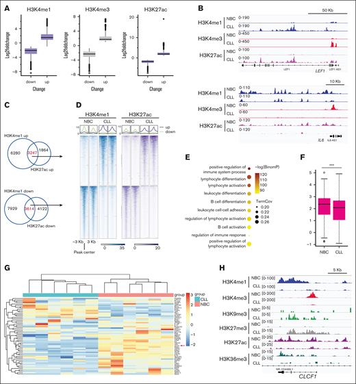 Loss of active enhancers in CLL B cells. (A) Box plots showing the fold change of the indicated histone mark at the altered peaks in CLL B cells. The altered peaks were cut off at P < .01 and fold change of >2 between CLL and NBCs. (B) Representative snapshots showing the alteration of active histone marks in CLL B cells. (C) Venn diagrams showing the overlap of the downregulated or upregulated H3K4me1 and H3K27ac peaks in CLL B cells. (D) Representative metagene heat maps showing H3K4me1 and H3K27ac intensity of the indicated peaks in panel C. (E) Pathways associated with the genes putatively regulated by the downregulated enhancers (by GREAT) in CLL. (F) The expression of the downregulated enhance-associated genes (determined by GREAT). Gene expression was determined by RNA-seq. (G) The gene expression of leukocyte differentiation pathways genes. Gene expression was determined by RNA-seq. The gene cardiotrophin-like cytokine factor 1 (CLCF1) is marked by the red arrow. (H) A snapshot showing histone modification enrichment at gene locus CLCF1.