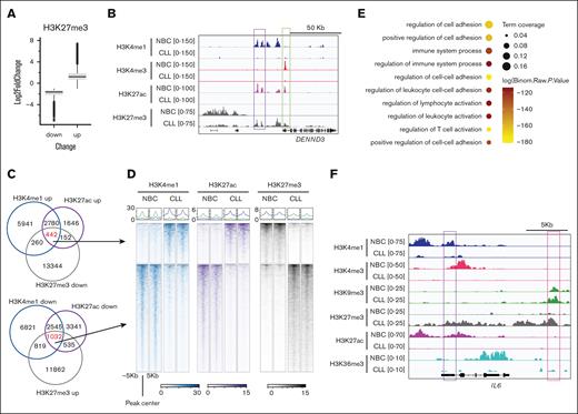 Enrichment of heterochromatin H3K27me3 at the lost enhancers in CLL B cells. (A) Box plots showing the fold change of the H3K27me3 intensity at the H3K27me3 increased or decreased peaks in CLL B cells. The altered peaks were cut off at P <.01 and fold change of >2 between CLL and NBCs. (B) A snapshot showing the indicated histone marks at the DENND3 gene locus in CLL B cells. (C) Venn diagrams showing the overlap of the indicated peaks. (D) Representative metagene heat maps showing H3K4me1, H3K27ac, and H3K27me3 intensity of the indicated peaks in panel C. (E) Pathways associated with the genes putatively regulated by the H3K4me1down/H3K27acdown/H3K27me3up peaks in CLL. (F) A snapshot showing histone modification enrichment at gene locus IL-6.
