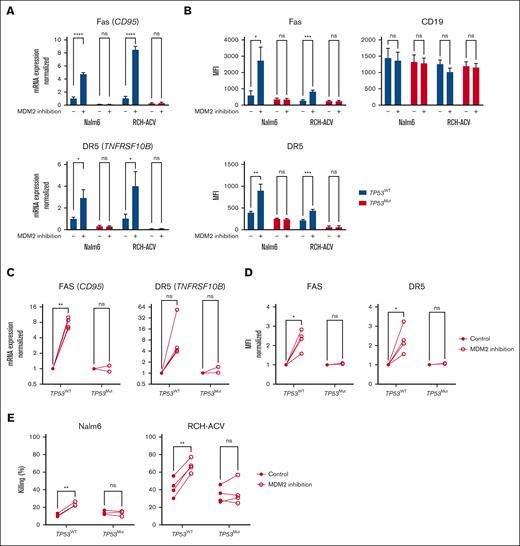 Sublethal p53 stabilization modulates DR expression and increases sensitivity to CART19. (A-B) mRNA levels (A) and MFI (B) of Fas (CD95), DR5 (TNFRSF10B), and/or CD19 (protein only) in TP53WT and TP53Mut Nalm6 and RCH-ACV cell models with or without p53 stabilization using the mouse double minute 2 homolog (MDM2) inhibitor idasanutlin (50 nM) for 16 hours, assessed by real-time qPCR and flow cytometry, respectively. Each data point represents a mean (± SD) of 3 biological replicates with 2 in panel A or 1 technical replicate(s) each in panel B and is normalized to the mean of the TP53WT control condition in panel A. (C-D) mRNA levels (C) and MFI (D) of Fas (CD95) and DR5 (TNFRSF10B) in 4 TP53WT and 2 TP53Mut PDXs with or without p53 stabilization using the MDM2 inhibitor idasanutlin (50 nM) for 16 hours, assessed by real-time qPCR and flow cytometry, respectively. Each data point represents a mean, per PDX sample, of biological triplicates with 2 in panel C or 1 technical replicate(s) each in panel D and is normalized to the mean of the TP53WT control condition of a biological replicate. (E) Nalm6 and RCH-ACV TP53WT and TP53Mut cells were pretreated with the MDM2 inhibitor idasanutlin for 16 hours, followed by a washout, and subsequent CART19 treatment for 16 hours at an effector-to-target ratio of 1:40. CART19-mediated killing was determined by flow cytometric assessment of cells positive for 7-aminoactinomycin D (7-AAD), normalized for the target-only control. Each data point represents a mean of 3 (Nalm6) or 4 (RCH-ACV) biological T-cell donors and 3 technological replicates each. In panels A-E, indicated differences between control and MDM2-inhibited conditions were evaluated for significance using paired 2-tailed t tests. ns, nonsignificant; ∗, 0.01 ≤ P-value < 0.05; ∗∗, 0.001 ≤ P-value < 0.01; ∗∗∗, 0.0001 ≤ P-value < 0.001; ∗∗∗∗, P-value < 0.0001.
