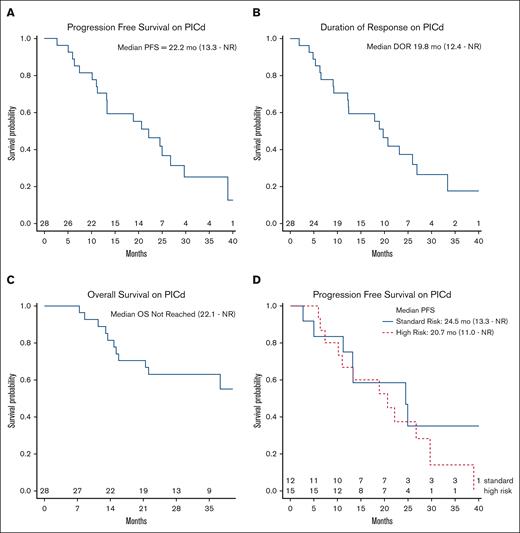 Survival analysis of patients treated with ClIPd. (A) PFS, (B) DOR, (C) OS, and (D) PFS stratified by high-risk cytogenetics. High-risk cytogenetics were considered +1q (either gain or amplification), del(17p), t(4;14), or t(14;16). mo, months.