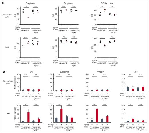 Effect of IFN-α on the gene expressions of stem/progenitor cells in Jak2V617F and Jak2V617F;Tyk2−/− mice. (A) Gene set enrichment analysis (GSEA) of genes regulating cell cycle (negative regulation of cell cycle G1 S phase transition) and genes regulating antiproliferative responses of IFNs. Upper: negative enrichment of genes for negative regulation of cell cycle G1 S phase transition in Jak2V617F CD150+LSK cells after IFN-α treatment but not in Jak2V617F GMPs. The gene expression data in CD150+LSK cells and GMPs in each genotype mice were obtained from 4 weeks of PBS- or ropeg-IFN-α–treated Jak2V617F and Jak2V617F;Tyk2−/− mice. Jak2V617F treated with PBS (n = 3), Jak2V617F treated with ropeg-IFN-α (n = 4), Jak2V617F;Tyk2−/−treated with PBS (n = 4), and Jak2V617F;Tyk2−/− treated with ropeg-IFN-α (n = 5). Lower: enrichment of genes regulating antiproliferative responses of IFNs in Jak2V617F GMPs but not in Jak2V617F CD150+LSK cells. Genes regulating the antiproliferative responses of IFNs are listed in supplemental Table 3. GSEA was performed using a false discovery rate (FDR) cutoff of ≤0.25. Enrichment plots for each gene set are shown with NESs and FDRs. (B) Representative flow cytometry plots showing the cell cycle in CD150+LSK cells and GMPs after 2 weeks of PBS or ropeg-IFN-α treatment in Jak2V617F and Jak2V617F;Tyk2−/− mice. G0 (quiescent) cells were Ki-67lowH33342,2n G1 cells were Ki-67+ H33342,2n and SG2M cells were Ki67+H333424 n. (C) Effect of IFN-α treatment on cell cycle of CD150+LSK cells and GMPs in Jak2V617F and Jak2V617F;Tyk2−/− mice. Upper: reduction in quiescent CD150+LSK cells (Ki-67lowH333422n) and increase in actively cycling CD150+LSK cells (Ki67lowH333422n) after IFN-α treatment in Jak2V617F mice. These IFN-α effects on CD150+LSK cells were absent in Jak2V617F;Tyk2−/− mice. Lower: reduction in actively cycling GMPs (Ki67+H333424n) after IFN-α treatment in Jak2V617F mice but not in Jak2V617F;Tyk2−/− mice. BM cells from 3 mice of each type were mixed, and cell cycle analysis was performed. The sample size for each treatment group was 3. Results are shown as mean ± SD of 3 samples. (D) Normalized expression levels of selected genes that regulate the antiproliferative responses to IFN-α. CD150+LSK cells and GMPs were isolated from the BM of Jak2V617F and Jak2V617F;Tyk2−/− mice treated with 600 ng of ropeg-IFN-α for 4 weeks. After normalization to the expression levels of Gapdh, the expression levels of each gene in each mouse genotype are shown as relative ratios to those in WT mice. Results are shown as mean ± SD of 3 samples. Statistical significance was determined using the Tukey test after 1-way ANOVA; ∗P < .05; ∗∗P < .01; ∗∗∗P < .001. NES, normalized enrichment scores; n.s., not significant.