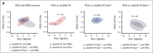 Effects of IFN-α in Jak2V617F;Stat1−/− mice. (A) The number of CFU-GM from WT, Stat1−/−, Jak2V617F, and Jak2V617F;Stat1−/− mice in the presence of ropeg-IFN-α (0.01, 0.1, or 0.5 μg/mL). BM cells (2 × 104 per well) from each genotype were plated in methylcellulose containing erythropoietin, IL-3, stem cell factor, and IL-6. The numbers of CFU-GM were quantified after 7 days of culture. Each experiment was performed in duplicate, and 3 independent experiments were performed. Data are presented as mean ± SE of 3 experiments. P values were calculated by the Tukey test after 1-way ANOVA; ∗P < .05; ∗∗P < .01; ∗∗∗P < .001. (B) PB complete cell count after 8 weeks of ropeg-IFN-α treatment in Jak2V617F and Jak2V617F;Stat1−/− mice. Jak2V617F mice (n = 5 per PBS and n = 5 per ropeg-IFN-α treatment); and Jak2V617F;Stat1−/− mice (n = 10 per PBS and n = 11 per ropeg-IFN-α treatment); shown in panels B, D-E, respectively. Data are presented as mean ± SD. P values were calculated by the Tukey test after 1-way ANOVA; ∗P < .05; ∗∗P < .01; ∗∗∗P < .001. (C) Histological changes in the BM from Jak2V617F;Stat1−/− mice after 8 weeks of ropeg-IFN-α treatment. Top: HE staining (100×); middle: HE staining (400×); bottom: Ag staining (200×). A yellow arrowhead indicates a megakaryocyte. Mild BM fibrosis in Jak2V617F;Stat1−/− mice disappeared after 8 weeks of ropeg-IFN-α treatment. Lower, left: the grade of fibrosis according to 4 grades (n = 5 per each treatment group). Statistical significance was determined by Mann-Whitney U test for 2 groups. ∗P < .05. Lower, right: the average number of megakaryocytes in 5 HPFs (n = 5 per each treatment group). Data are presented as mean ± SD. P values were calculated by the Tukey test after 1-way ANOVA. (D) The decrement in the proportion of LT-HSCs and short-term HSCs (ST-HSCs) in the BM from Jak2V617F and Jak2V617F;Stat1−/− mice after 8 weeks of ropeg-IFN-α treatment. Data are presented as mean ± SD. P values were calculated by the Tukey test after 1-way ANOVA; ∗P < .05. (E) Analysis of the number of Jak2V617F and Jak2V617F;Stat1−/− HSCs and their subpopulations after 8 weeks of treatment with ropeg-IFN-α. Left: the total number of LT-HSCs in 2 femurs and 1 tibia from Jak2V617F and Jak2V617F;Stat1−/− mice. Right: percentage of CD41hi and CD41lo LT-HSCs. Orange bar, CD41lo LT-HSCs; dark orange bar, CD41hi LT-HSCs. Data are presented as mean ± SD. P values were calculated by the Tukey test after 1-way ANOVA. ∗P < .05. (F) PCA after 8-week treatment with ropeg-IFN-α, performed on Jak2V617F, Jak2V617F;Tyk2−/−, and Jak2V617F;Stat1−/− mice. PCA was integrated with 35 parameters described in the supplemental Methods. First from the left: PCA after PBS treatment on Jak2V617F, Jak2V617F;Tyk2−/−, and Jak2V617F;Stat1−/− mice; (second from the left) PCA with either PBS or ropeg-IFN-α treatment on Jak2V617F mice; (third from the left) PCA with either PBS or ropeg-IFN-α treatment on Jak2V617F;Tyk2−/− mice; (fourth from the left) PCA with either PBS or ropeg-IFN-α treatment performed on Jak2V617F;Stat1−/− mice. WBC, white blood cell; Hb, hemoglobin; Plt, platelet; n.s., not significant.