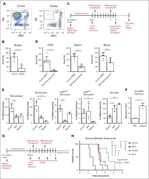 Myeloid cell depletion reduces T-ALL burden in the CNS and supplements MTX therapy to improve in vivo survival. (A-B) Representative flow cytometry plots (A) and quantification (B) of T-ALL burden in the CNS of leukemic mice treated with PBS vehicle control (left) or Clodlip (right). Bars depict the mean + SEM of cumulative data from 5 experiments, with distinct color-coded primary LMO2 T-ALL stocks; symbols represent individual mice. (C) Experimental schematic depicting the dosing schedule for MTX treatment after LMO2 T-ALL engraftment. (D) Leukemia burden in the CNS, spleen, and blood was assessed 2 days after the second injection of MTX vs vehicle control (PBS; “control”). (E) Composition of the myeloid compartment in the CNS of mice 48 hours after receiving MTX or PBS vehicle control treatment or in mice with T-ALL that “relapsed” after MTX treatment, as indicated in panel C. Bars depict the mean + SEM of cumulative data from 6 mice, each with a color-coded unique primary T-ALL stock. (F) Quantification of viable T-ALL cells from the CNS of relapsed mice 6 to 7 days after culture in the presence or absence of myeloid cells from the CNS, normalized to “T-ALL” alone. Bars depict the mean + SEM of cumulative data from 3 experiments with distinct color-coded primary LMO2 T-ALL cells; symbols represent individual mice. (G) Experimental schematic depicting the dosing schedule for “control,” “Clodlip,” “MTX,” and combination Clodlip plus MTX therapy (“Both”). (H) Kaplan-Meier survival curves of mice from 3 independent experiments in which distinct primary LMO2 T-ALL stocks were engrafted into littermates, with a total of 6 mice per treatment group. Statistical significance was determined using unpaired Student t test (Mann-Whitney U) in panels B,D-F or log-rank test in panel H (∗P < .05; ∗∗P < .01; ∗∗∗P < .001; ∗∗∗∗P < .0001).