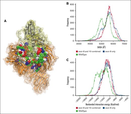 Comparison of SASA of DDB1 cleft in WT and deleted structures. (A) The structure of CRBN (silver) complexed with DDB1 (orange), where the DDB1 cleft is demonstrated in surface representation, where each residue type color is found; red color demonstrates negatively charged, blue for positively charged, green for polar, and white for hydrophobic residues. (B) SASA histogram of all simulations. (C) Nonbonded energy histogram of all simulations. SASA, solvent accessible surface area.