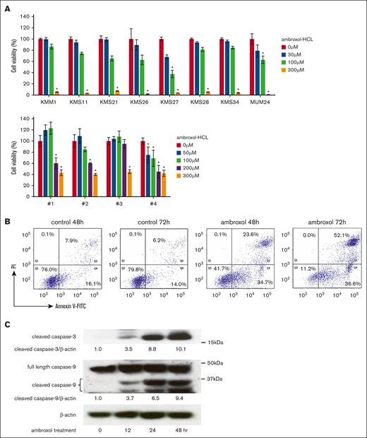 Growth inhibition and apoptosis induction of MM cells by ambroxol (Abx). (A) Growth inhibition of myeloma cells by Abx. Eight myeloma cell lines and 4 CD138+ bone marrow samples were treated with various concentrations of Abx for 72 hours. The viability was evaluated by a trypan blue exclusion test for cell lines and by a WST-1 assay for the patient samples. All experiments were done in triplicate. ∗P < .05 vs 0 μM. (B) Cell surface Annexin V expression in myeloma cells treated with Abx. Cell surface expressions of Annexin V in KMS34 cells before and after 200 μM Abx treatment were evaluated by flow cytometry. (C) Caspase activation by Abx. KMS34 cells were treated with 200 μM Abx, and the time course changes of the cleavage of caspase-3 and caspase-9 were evaluated by western blot analysis. FITC, Fluorescein isothiocyanate; PI, Propidium Iodide.