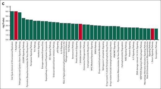 Gene expression profiles of Abx-treated myeloma cells. (A) RNA sequence and GSEA by GO gene sets (C5) of Abx-treated vs untreated KMS34 and KMS21 cells. The RNA sequence data were used to elucidate the gene sets that were upregulated or downregulated (log2FC > 0.1 or log2FC less than −0.1) in both the Abx-treated cell lines and fulfilled P value of <.05 and false discovery rate of <0.25. The top 20 gene sets were enumerated by NES score. Among them, the enrichment plots for the 3 gene sets whose names included “autophagy” and “autophagosome” are also revealed. (B) To search for the targeting gene of Abx, heat maps of the genes included in the gene set “GOBP_NEGATIVE_REGULATION_OF_AUTOPHAGY” were enumerated. Expression levels of Sirt2 and FOXK1 were examined by western blots. All blots were repeated 3 times, and the signals were quantified by ImageJ scanning and adjusted with β-actin signals. ∗P < .05 vs 0 hour. (C) Pathway analysis of Abx-treated KMS34 and KMS21 cells was done using the genes with absolute log2FC of >1 or log2FC less than −1 (Ingenuity Pathway Analysis; Qiagen). GO, Gene Ontology; NES, Normalized Enrichment Score.