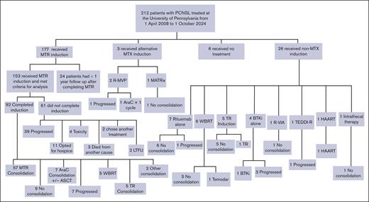 Exclusion criteria for analysis. BTKi, Bruton tyrosine kinase inhibitor; HAART, highly active antiretroviral therapy; LTFU, lost to follow up; R-MVP, rituximab, methotrexate, procarbazine, vincristine; R-VIA, rituximab, etoposide, ifosfamide, cytarabine; TEDDI-R, temozolomide, etoposide, doxil, dexamethasone, ibrutinib, rituximab; TR, temozolomide rituximab.