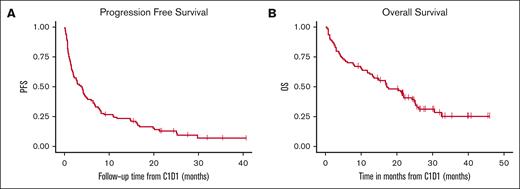 Survival outcomes. (A) PFS. (B) OS.