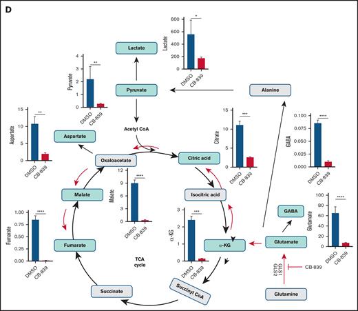 Effect of GSL inhibitor (CB-839) on growth, proliferation, survival, and metabolism of MCL cells. (A) Results of MTT conversion assay with the depicted 6 patient-derived MCL cell lines after 72-hour incubation in vehicle (DMSO) or various concentrations of CB-839, ranging from 0 to 1000 nM. (B) Cell cycle phases with compartmentalization (R3, sub G0/G1; R4, G0/G1; R5, S; R6, M) detected after 48-hour exposure of the MCL cell populations to CB-839 or the inhibitor’s (control) medium. (C) Apoptotic cell death identified by a DNA fragmentation (TUNEL) assay after 72-hour MCL cell exposure to CB-839 vs control medium. (D) Key metabolites in MCL-SL cells. Metabolites affected by the cell treatment with CB-839, identified by Liquid Chromatography-Mass Spectrometry (LC-MS) and metabolome-targeting bioinformatics, are highlighted by green background; the CB-839–induced changes in the MCL-SL identified signals are displayed in the associated graphs (black columns, control; and red columns, CB-839). α-KG, α-ketoglutarate; CoA, Coenzyme A; DMSO, dimethyl sulfoxide; GABA, gamma-aminobutyric acid; MTT, 3-(4,5-dimethylthiazol-2-yl)-2,5-diphenyltetrazolium bromide; TCA, tricarboxylic acid; TUNEL, terminal deoxynucleotidyl transferase dUTP nick end labeling.