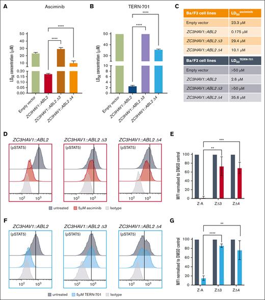 Ba/F3 cells with the ZC3HAV1::ABL2 fusion gene are sensitive to STAMP inhibitors, and the SH3 domain is required for the STAMP-mediated in vitro effect. Sensitivity to asciminib (A) and TERN-701 (B) was assessed using the Annexin V-PE and 7-AAD cell death assays in Ba/F3 cells that expressed the empty vector (control), full-length ZC3HAV1::ABL2, and the ZC3HAV1::ABL2 Δ3 (ΖΔ3), ZC3HAV1::ABL2 Δ4 (ΖΔ4) isoforms. (C) The corresponding mean LD50 values are highlighted for each fusion gene. Representative histograms of the intracellular flow cytometry of Ba/F3 cell lines that were treated with 5 μM asciminib (D) or 5 μM TERN-701 (F) and stained with anti-pSTAT5 antibody. The corresponding column graphs of mean fluorescence intensity (MFI) values of pSTAT5 for asciminib (E) and TERN-701 treated cells (G), normalized to untreated control. All experiments were performed in biological replicates (n = 3) and statistical significance was calculated using unpaired Student t tests. Z-A, ZC3HAV1::ABL2; ΖΔ3, ZC3HAV1::ABL2 Δ3; ΖΔ4, ZC3HAV1::ABL2 Δ4. Significance is denoted with asterisks as follows: ∗∗∗∗P < .0001; ∗∗∗P < .001; ∗∗P < .01.