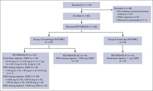 Patient consort flow diagram. AML, acute myeloid leukemia; DSU, double step-up; IV, intravenous; Q3W, every 3 weeks; QW, every week; R/R, relapsed or refractory; SC, subcutaneous; SSU, single step-up.