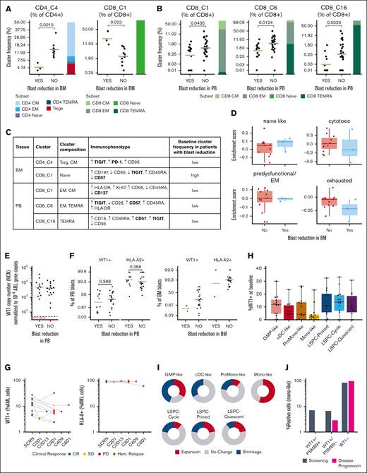 Baseline biomarkers associated with blast reduction in BM and PB. (A) BM blast reduction-associated immunophenotype clusters identified in BM after UMAP dimensionality reduction and FlowSOM clustering of high-dimensional cellular immunophenotyping data at baseline (P value < .05; t test; n = 13). Cluster frequencies of significant CD4+ cluster 4 (CD4_C4) and CD8+ cluster 1 (CD8_C1) are shown (as % of parent) on logit-scaled axes; the mean is indicated by the line. Cluster composition based on manually gated immune cell subsets is shown within the plot as a colored stacked bar chart. (B) PB blast reduction–associated immunophenotype clusters identified in PB after UMAP dimensionality reduction and FlowSOM clustering of high-dimensional cellular immunophenotyping data at baseline (P value < .05; t test; n = 43). Cluster frequencies of significant CD8+ clusters 16, 6, and 1 (CD8_C16, CD8_C6, CD8_C1) are shown (as % of parent) on logit-scaled axes; the mean is indicated by the line. Cluster composition based on manually gated immune cell subsets is shown within the plot as a colored stacked bar chart. (C) Significantly expressed immune cell markers in each significant cluster from BM (panel A) and PB (panel B). The median marker intensity was tested for the respective cluster vs all other clusters (adjusted P value < .05; Wilcoxon rank sum test) and arrows indicate significant higher ↑ or lower ↓ intensity. Markers are ranked by significance; exhaustion markers are indicated in bold. (D) Baseline CD8 T-cell states in BM measured by scRNA-seq of BMMC samples (n = 14). Enrichment scores were calculated per cell and averaged per sample using previously described gene sets.29 (E) WT1 messenger RNA target expression in PB shown as (normalized copy number) NCN measured by quantitative reverse transcription polymerase chain reaction; the line indicates the median (n = 30). Samples with WT1 below the level of quantification (BLQ) are shown in red. The dashed line indicates the value above which WT1 is considered to be overexpressed in normal PB (NCN = 50).30 (F) Intracellular WT1 and cell surface HLA-A2 protein expression measured by flow cytometry in PB (left, n = 40) and BM (right, n = 27). Levels are shown as frequency (%) of blasts in PB or BM; the mean is indicated by the line and P values were determined after FDR adjustment (t test on logit-transformed values). (G) On-treatment dynamics of WT1+ (left) and HLA-A2+ (right) percentage of AML cells in BM measured by scRNA-seq of BMMC samples (n = 10). WT1+ / HLA-A+ cells defined by unique molecular identifier (UMI) >0; the color code indicates the clinical response at the time of sampling. (H) Distribution of %WT1+ cells within different AML subpopulations in BM at baseline as evaluated by scRNA-seq of BMMC samples (n = 14). WT1+ cells were defined by a UMI >0. (I) Change in AML subpopulations in BM at the time of progression as evaluated by scRNA-seq of BMMC samples (n = 9). Expansion defined as >5% increase relative to baseline; shrinkage defined as >5% decrease relative to baseline. (J) Percentage of WT1+/PSMB9+, WT1+/PSMB9−, and WT1− cells in expanding mono-like AML subpopulation at screening and the time point of disease progression as evaluated by scRNA-seq of BMMC samples (n = 9). WT1+ / PSMB9+ cells defined by a unique molecular identifier (UMI) >0. AML, acute myeloid leukemia; BMMC, bone marrow mononuclear cells; C, cluster; cDC, conventional dendritic cell; CM, central memory; CR, complete remission; CxDx, Cycle x Day x; EM, effector memory; FDR, false discovery rate; GMP, granulocyte-monocyte progenitors; hem., hematologic; LSPC, leukemia stem and progenitor cells; Mono, monocyte; NCN, normalized copy number; ProMono, pro-monocyte; PD, progressive disease; PSMB9, Proteasome 20S Subunit Beta 9; SCRN, screening; scRNA-seq, single-cell RNA sequencing; SD, stable disease; TEMRA, terminally differentiated effector memory cells re-expressing CD45RA; UMAP, Uniform Manifold Approximation and Projection; WT1, Wilms Tumor Protein 1.