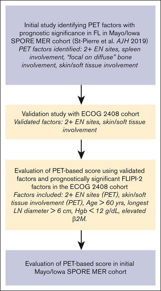 Validation study summary schema. Hgb, hemoglobin; LN, lymph node; β2M, β2-microglobulin.