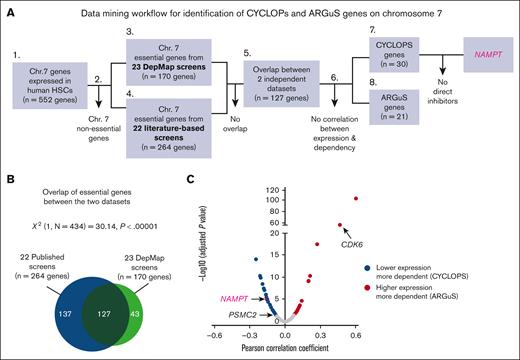 Genome-wide CRISPR screens identify Chr 7 CYCLOPS genes as new targets for therapy. (A) Workflow showing the identification of Chr 7 essential and CYCLOPS genes using 23 DepMap (green text) and 22 independently published screens (blue text) in AML cell lines. (B) Venn diagram showing overlap of essential genes between the 2 methods of in silico data mining for Chr 7 essential genes. Pearson χ2 test was used to calculate the statistical significance between overlaps. (C) Volcano plot showing Pearson correlations between CRISPR dependency (DepMap) and mRNA expression (CCLE) for Chr 7 essential genes. The genes whose expression levels were significantly correlated (adjusted P < .05) with either increased or decreased sensitivity to CRISPR-Cas9 knockout were categorized as ARGuS genes (red) and CYCLOPS genes (blue), respectively. Chr, chromosome.