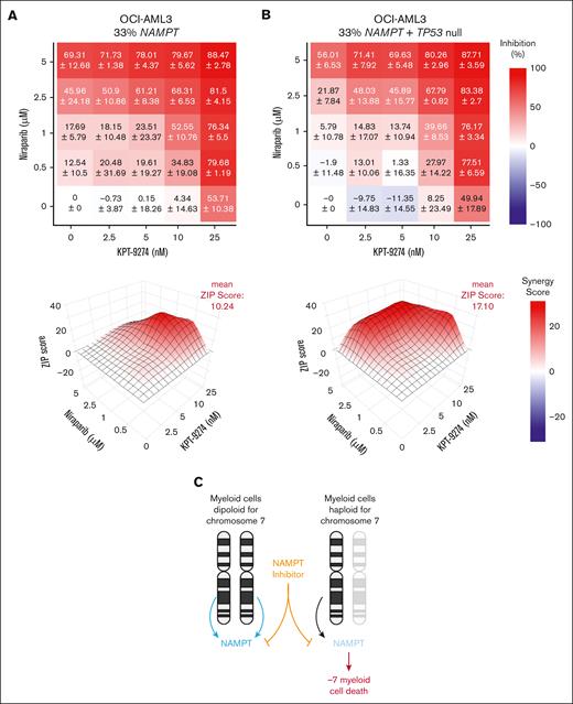 KPT-9274 combines synergistically with niraparib to effectively target NAMPT-deficient AML. (A) Dose-response matrix (top) and analysis of 3-dimensional (3D) graph of ZIP synergy scores (bottom) after KPT-9274 is combined with nirpaparib for 72 hours in NAMPT-deficient OCI-AML3 clonal cell line (n = 3) (B) Dose-response matrix (top) and analysis of 3D graph of ZIP synergy scores (bottom) after KPT-9274 is combined with niraparib for 72 hours in P53 null NAMPT-deficient OCI-AML3 clonal cell line (n = 3; synergy score less than –10, antagonistic interaction; more than –10 and <10, additive interaction; and >10, synergistic interaction). (C) Model; NAMPT haploinsufficiency is a collateral lethal therapeutic vulnerability in high-risk −7/del(7q) myeloid malignancies.