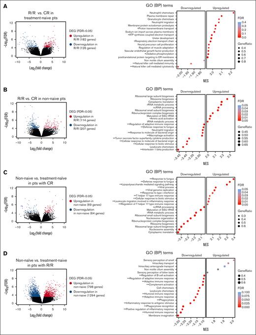 Transcriptomic differences between R/R and CR pts in pretreatment primary AML samples. (A) Volcano plot profile (left) showing the −log10 FDR value and log2 fold change of DEGs between pts who achieved CR/CRi (CR pts) and pts who did not respond to treatment or relapsed after VEN/DEC treatment (R/R pts) in the treatment-naive AML cohort (R/R, n = 5; CR, n = 6). Dot plot (right) of GSEA results illustrating the top-ranked GO BP terms enriched in the DEGs (FDR < 0.25). Positive and negative enrichment scores, respectively, indicate upregulation and downregulation in R/R pts. The gene ratio is the percentage of genes that were significantly associated with the R/R group among the total number of genes associated with the process. GO terms are ranked in decreasing order of NES. A single asterisk and a double asterisk indicate GO terms associated with energy production and immune response, respectively. (B) Volcano plot profile (left) of DEGs in R/R pts vs CR pts in the previously treated (nonnaive) group of pts with AML (R/R, n = 7; CR, n = 3). Dot plot (right) of GSEA results illustrating the top of a ranked list of GO BP terms enriched in the DEGs (FDR < 0.25). Positive and negative enrichment scores, respectively, indicate upregulation and downregulation in R/R pts. (C) Volcano plot profile (left) of DEGs in nonnaive vs treatment-naive pts in the CR group (nonnaive, n = 3; treatment-naive, n = 6). Dot plot (right) of GSEA results illustrating the top-ranked GO BP terms enriched in the DEGs (FDR < 0.25). Positive and negative enrichment scores, respectively, indicate upregulation and downregulation in the nonnaive cohort. (D) Volcano plot (left) profile of DEGs in nonnaive vs treatment-naive pts in the R/R group (nonnaive, n = 7; treatment-naive, n = 5). Dot plot (right) of GSEA results illustrating the top-ranked GO BP terms enriched in the DEGs (FDR < 0.25). Positive and negative enrichment scores, respectively, indicate upregulation and downregulation in the nonnaive cohort. ATP, adenosine triphosphate; BP, biological process; DEGs, differentially expressed genes; ER, endoplasmic reticulum; GO, gene ontology; ncRNA, non-coding RNA; NES, normalized enrichment scores; pts, patients; rRNA, ribosomal RNA; SSU, Small Subunit; tRNA, transfer RNA.