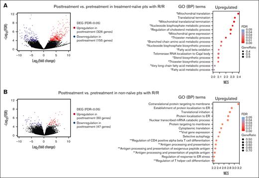 Transcriptomic differences between pretreatment and posttreatment samples obtained from R/R pts. (A) Volcano plot (left) profile showing the –log10 FDR value and log2 fold change of DEGs in posttreatment vs pretreatment samples obtained from pts who did not respond to or relapsed after VEN/DEC treatment (R/R pts) in the treatment-naive AML cohort (posttreatment, n = 2; pretreatment, n = 5). Dot plot (right) of GSEA results illustrating the top-ranked GO BP terms enriched in the DEGs (FDR < 0.25). Positive enrichment scores indicate upregulation in posttreatment samples. The gene ratio is the percentage of genes that were significantly associated with posttreatment samples among the total number of genes associated with the process. A single asterisk and a double asterisk indicate GO terms associated with energy production and immune response, respectively. (B) Volcano plot profile (left) of DEGs in posttreatment vs pretreatment samples obtained from R/R pts in the non–treatment-naive AML cohort (posttreatment, n = 3; pretreatment, n = 7). Dot plot (right) of GSEA results illustrating the top-ranked GO BP terms enriched in the DEGs (FDR < 0.25). ER, endoplasmic reticulum.