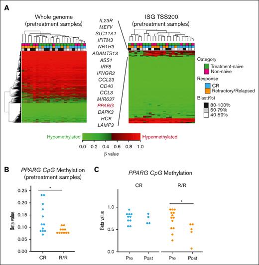 DNA methylation profiles. (A) Hierarchical clustering analysis of DNA methylation profiles on 23 pretreatment samples (left). Twenty thousand CpG probe blocks for the whole genome were randomly selected. Hierarchical clustering analysis of promoter methylation profiles of 119 gene blocks for 113 ISGs (right). Pretreatment samples were used and methylation (β values) of gene blocks in CpG islands in the region from TSS to −200 bp upstream was analyzed. Seventeen genes were hypomethylated in pts who failed to respond or relapsed after VEN/DEC treatment (R/R pts) compared to pts who achieved CR/CRi (CR pts). (B) Methylation levels (β values) of PPARG in CpG islands within regions from the TSS to −200 bp upstream were compared between R/R and CR pts. (C) Methylation levels (β values) of PPARG in CpG islands within regions from the TSS to −1500 bp upstream were compared between the pretreatment and posttreatment samples obtained from CR and R/R pts. Differences between the groups were tested using the 2-tailed Student t test. ∗P < .05.